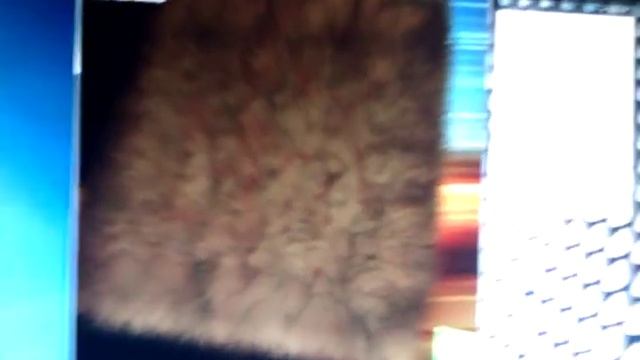 GTX560 Ti driver reset issue after stressing смотреть онлайн