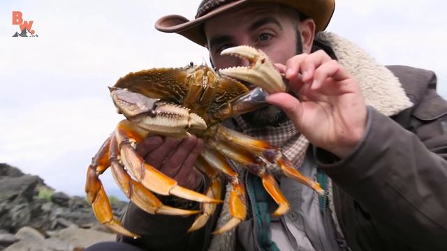 PINCHED by a HUGE CRAB! смотреть онлайн