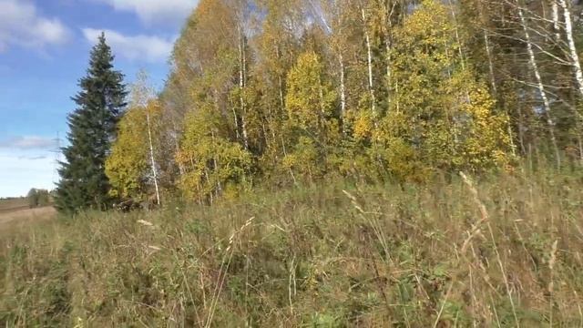 [ЛТ]: Поход выходного дня: избушка, природа, красота смотреть онлайн