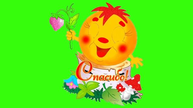 11 января Всемирный день "СПАСИБО" хромакей зелёный фон смотреть онлайн
