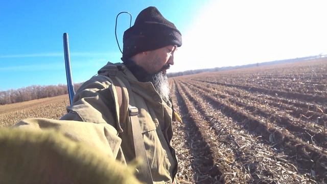 Қырғауыл аң аулау, Hyrqayul an aulau, Охота на фазана. Pheasant hunt 32052 Hatsan escort смотреть онлайн