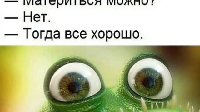 Срочное объявление Банклуба Оз. Жабе нужна метла и совок! Для работы! Ну не ужели…жаба?..работать?. смотреть онлайн