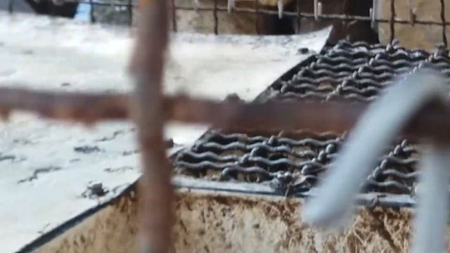 ✔Нутриям 5 месяцев//жизнь одесситов в деревне смотреть онлайн