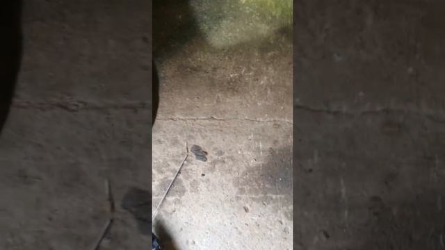Обогрев редуктора ГБО смотреть онлайн