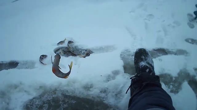 Второе озеро сделало рыбалку Бешенный клев окуня! смотреть онлайн