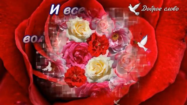 ?ПРИЗНАНИЕ В ЛЮБВИ ОТ НЕЕ? смотреть онлайн