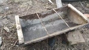 Кормить Свиней ВАРЕНОЙ КАШЕЙ Выгодно и Дешево