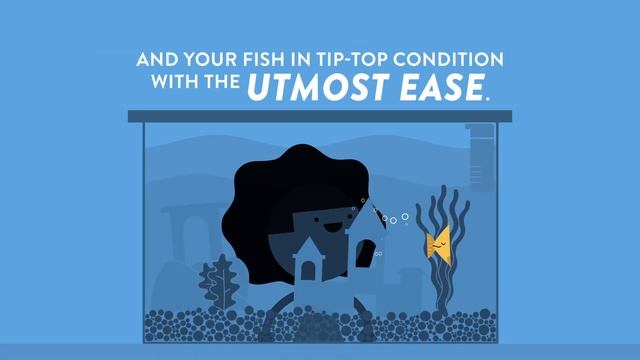 Introducing the Tetra® My Aquarium App смотреть онлайн