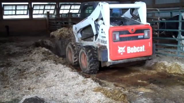 Услуги по очистке молочно товарных ферм ООО Дом Аренды смотреть онлайн