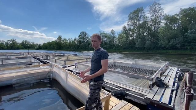 Садок (дель) для выращивания товарной рыбы. смотреть онлайн