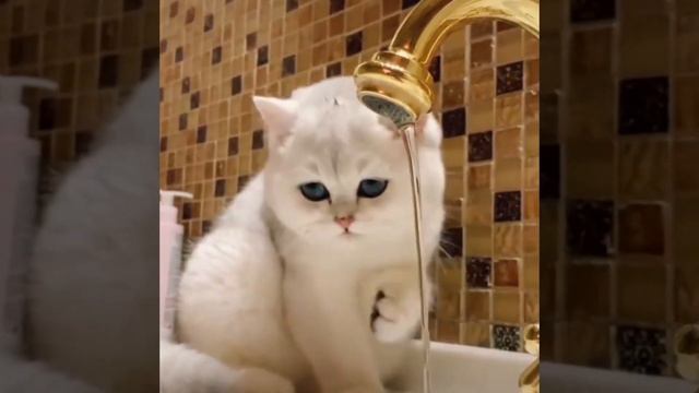 Обалдеть можно. смотреть онлайн