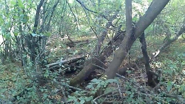 ОЧЕРЕДНОЙ НЕПЛОХОЙ КОП. смотреть онлайн