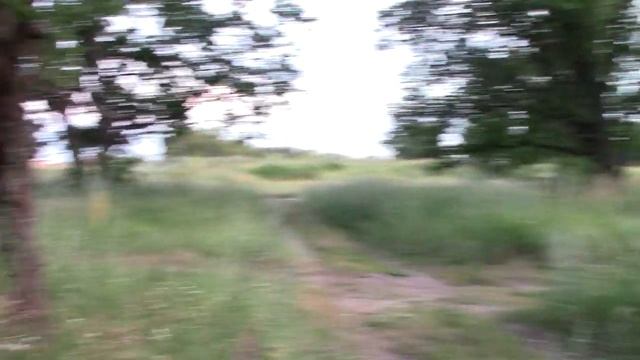 Коп в лесу нашли двушку, по ужинали смотреть онлайн