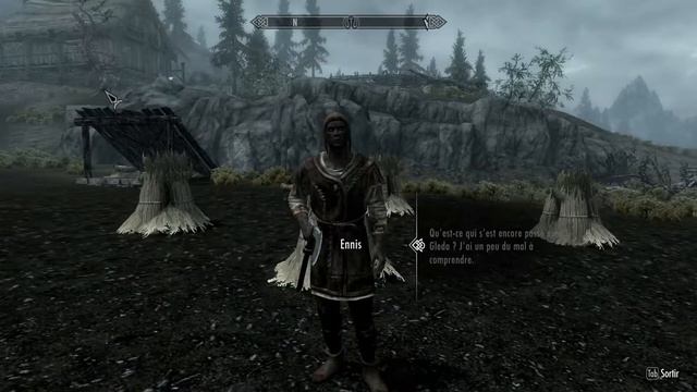 CONCOURS DE BOISSON AVEC SAM | Skyrim смотреть онлайн