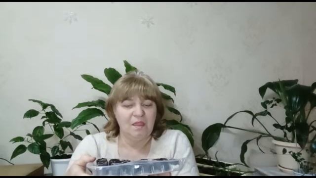 сею лук порей на рассаду тремя способами смотреть онлайн