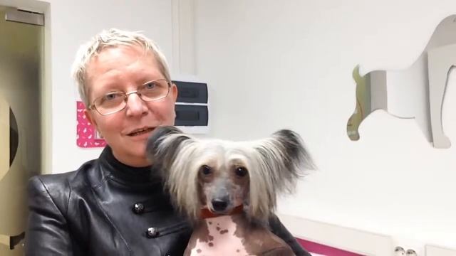 Видеоотзыв №11 смотреть онлайн