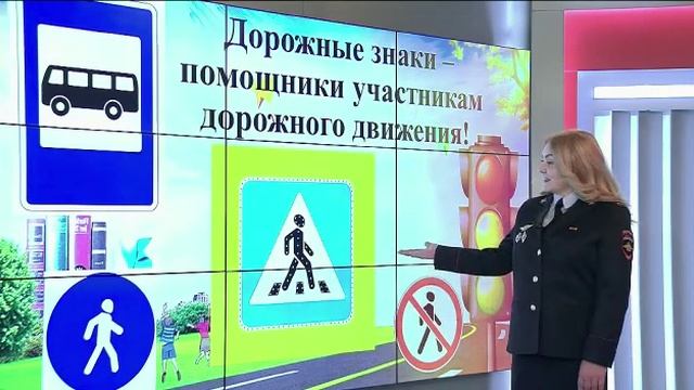 Видео-урок БДД