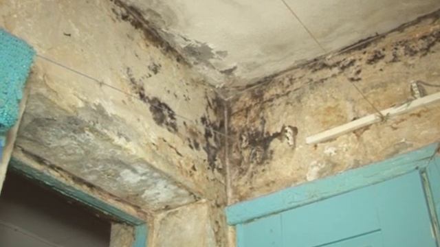 Сезон, когда «топят соседи сверху» открыт смотреть онлайн