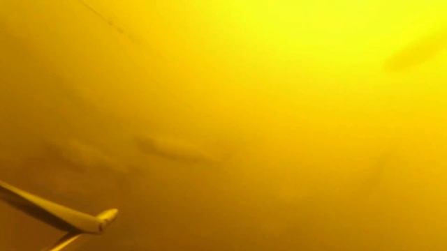 Летняя охота на амура и толстолобика. смотреть онлайн