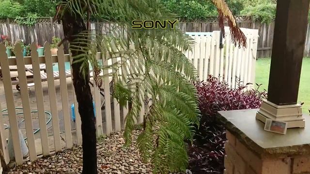 Canon 700D vs Sony Xperia Z5: Camera Test смотреть онлайн