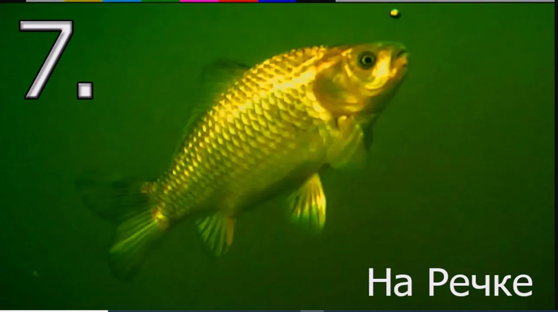 7. Рыбалка на речке на Поплавок, насадка опарыш, хлеб, Ловля плотвы, карася, подводная съёмка. смотреть онлайн