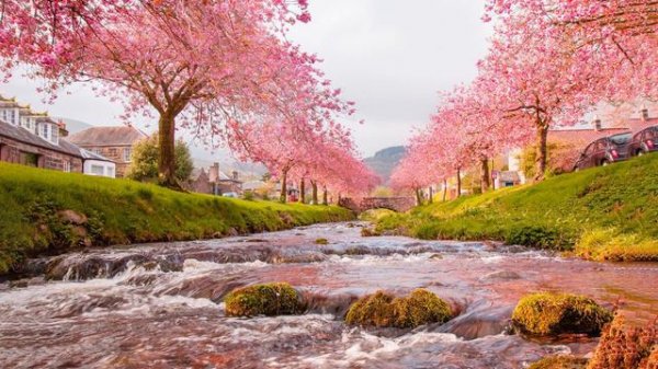 Andre Gagnon  || The Very Best Of Andre Gagnon Album 2001