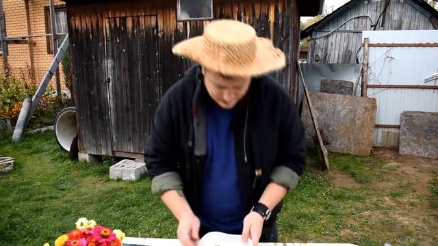 Маринованные жемчужинки. Грибы с лимонной мятой. смотреть онлайн