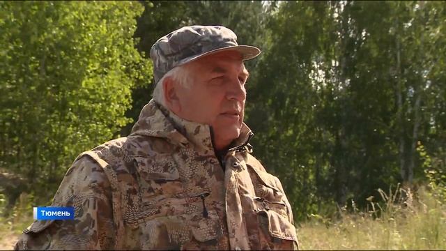 Отдыхающим тюменцам напомнили о правилах поведения на воде и в лесу смотреть онлайн