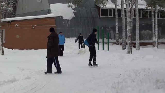 катаемся на собаках хаски. смотреть онлайн