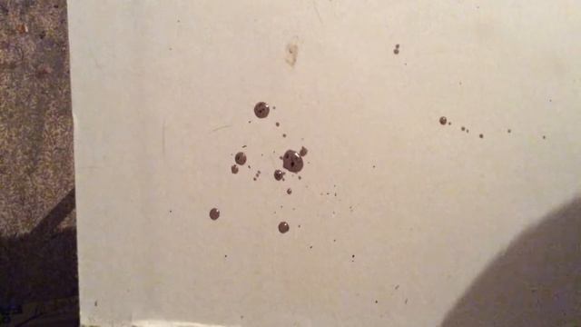 Как приготовить элексир молодости смотреть онлайн