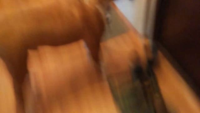 ЗЛОЙ ЛАЙ БОКСЕРА. ЗЛАЯ СОБАКА /ANGRY DOG смотреть онлайн