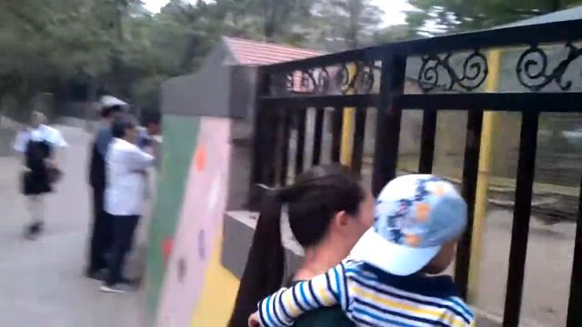 Павлин. Зоопарк. Пекин смотреть онлайн