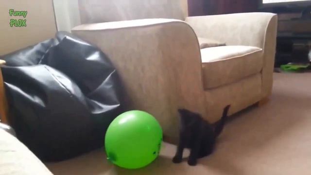 Интересное и познавательное видео для вас красивые пейзажи такого вы не видели Creative commons смотреть онлайн