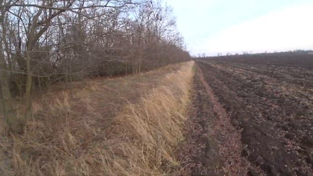 Охота на зайца 2022. Хитрый ждун ( 16+ ) смотреть онлайн