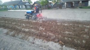 Слепое окучивание картофеля минитрактором амжк-8