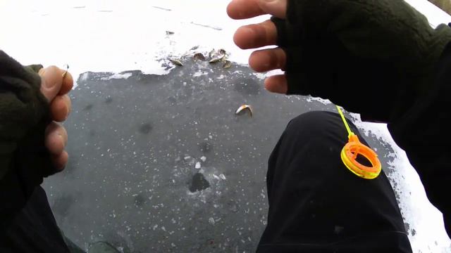 Ура! ПЕРВЫЙ ЛЁД. Попал на раздачу Окуня. Ловля окуня на мормышку и безмотылку. Рыбалка со льда 2020 смотреть онлайн