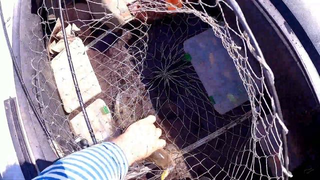 Спиннингом вподкидку, сплавом с якоря и т.д. Это праздник какой-то - осень на Вятке! смотреть онлайн