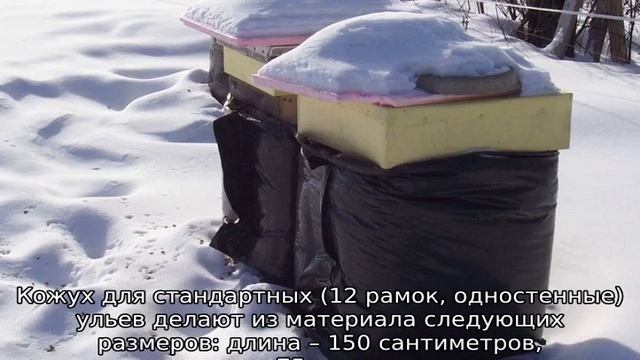 Зимовка пчел на воле под снегом