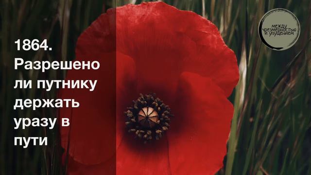 Разрешено ли путнику держать уразу в пути / Шарх Булуг иль-марам смотреть онлайн