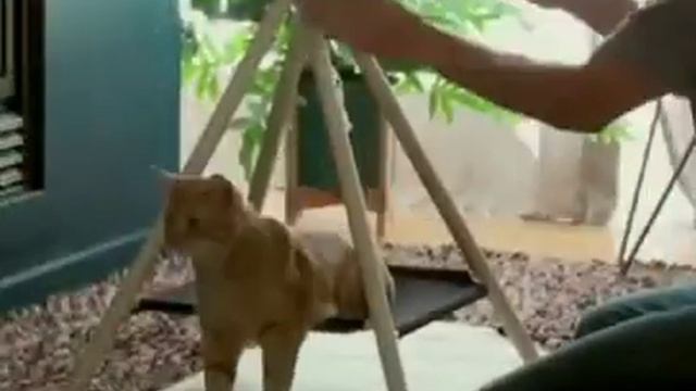 Видео сборки Вигвам смотреть онлайн