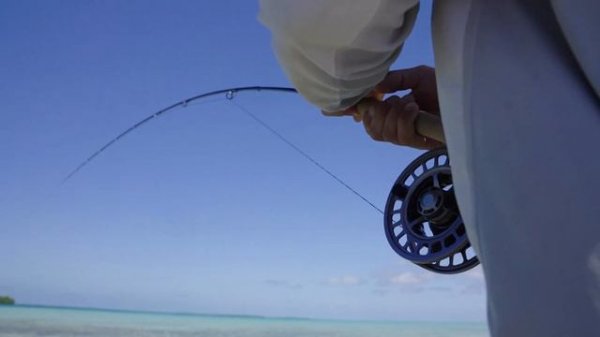 Simms SolarFlex Spotlight