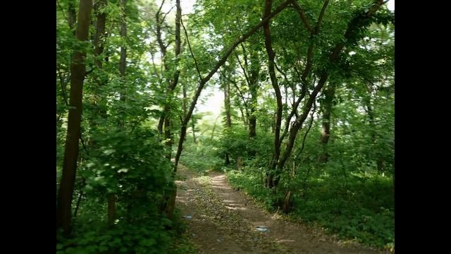 Проспект по Курску.mp4 смотреть онлайн