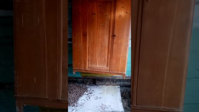 ремонт в старом деревянном доме, штукатурка деревянных стен смотреть онлайн