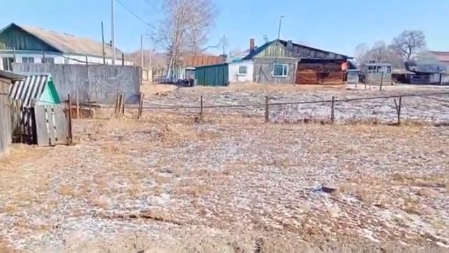(#464) 30.11-16.12. 22 Приморье! Начало зимы в деревне! смотреть онлайн