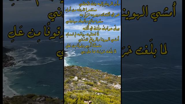 قصيدة رأس الرجاء الصالح - كلمات الدكتور : عبدالله الحريري - إلقاء عمر بن عبدالله سندي смотреть онлайн