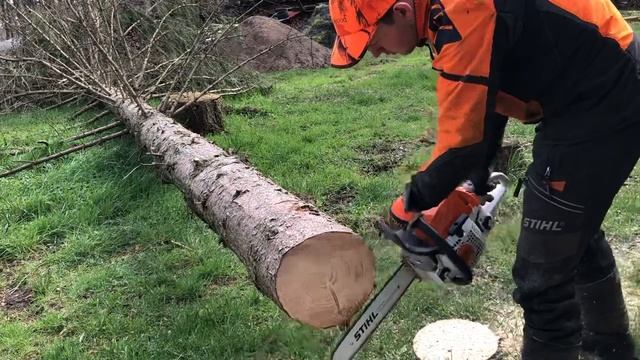 Stihl MS 251 смотреть онлайн