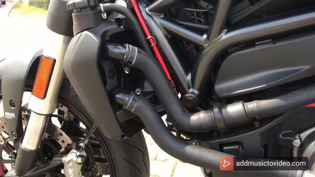 Ducati Monster 821 Stealth 2020 смотреть онлайн