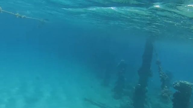 Риф и пляж отеля Sunrise Romance Resort Sahl Hasheesh смотреть онлайн