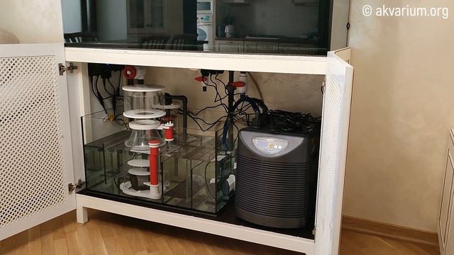 Морской аквариум под ключ 370 литров смотреть онлайн