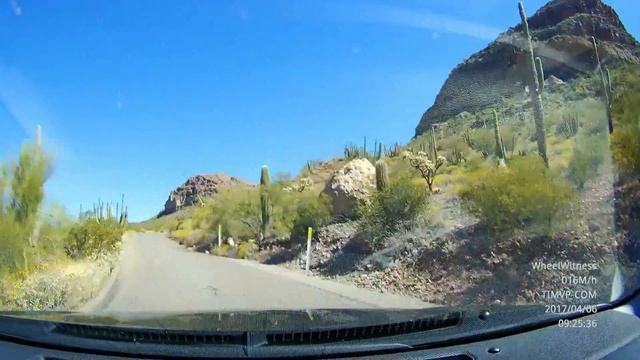 Organ Pipe Cactus National Monument смотреть онлайн